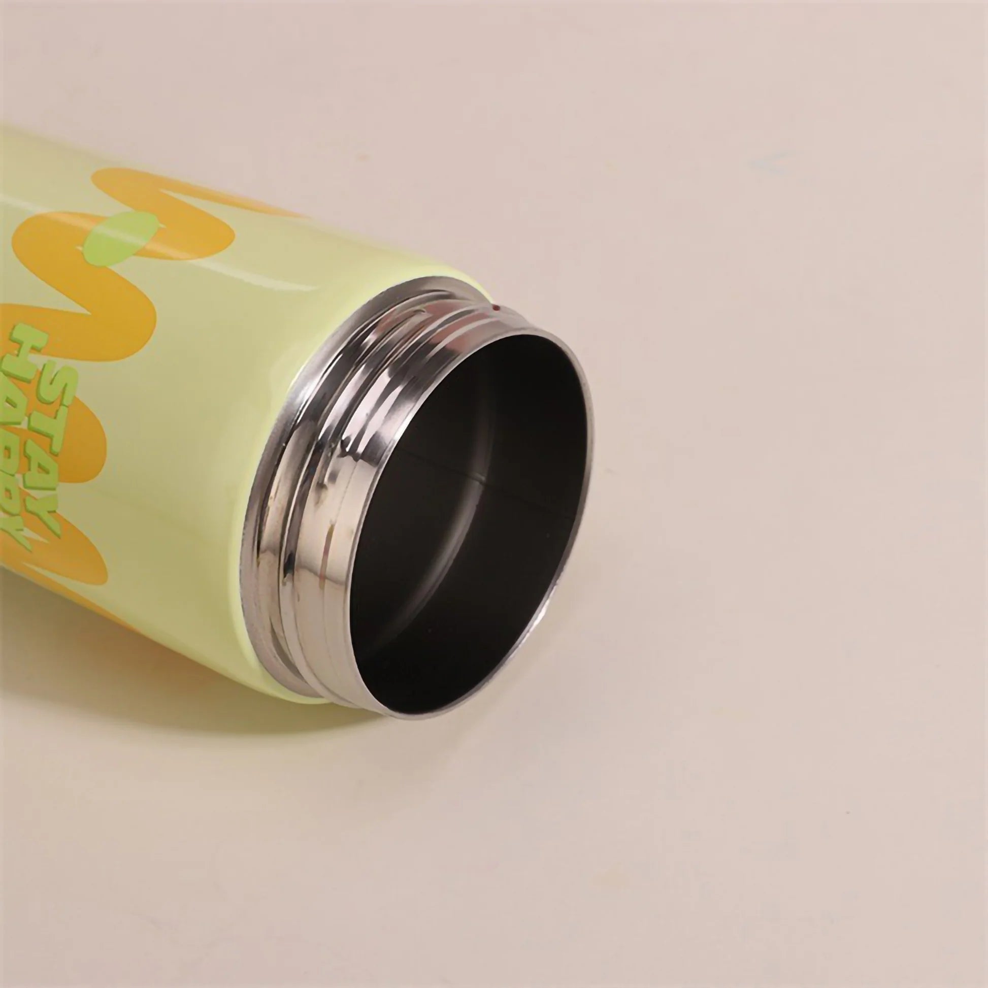 Insulated Stainless Steel Water Bottle