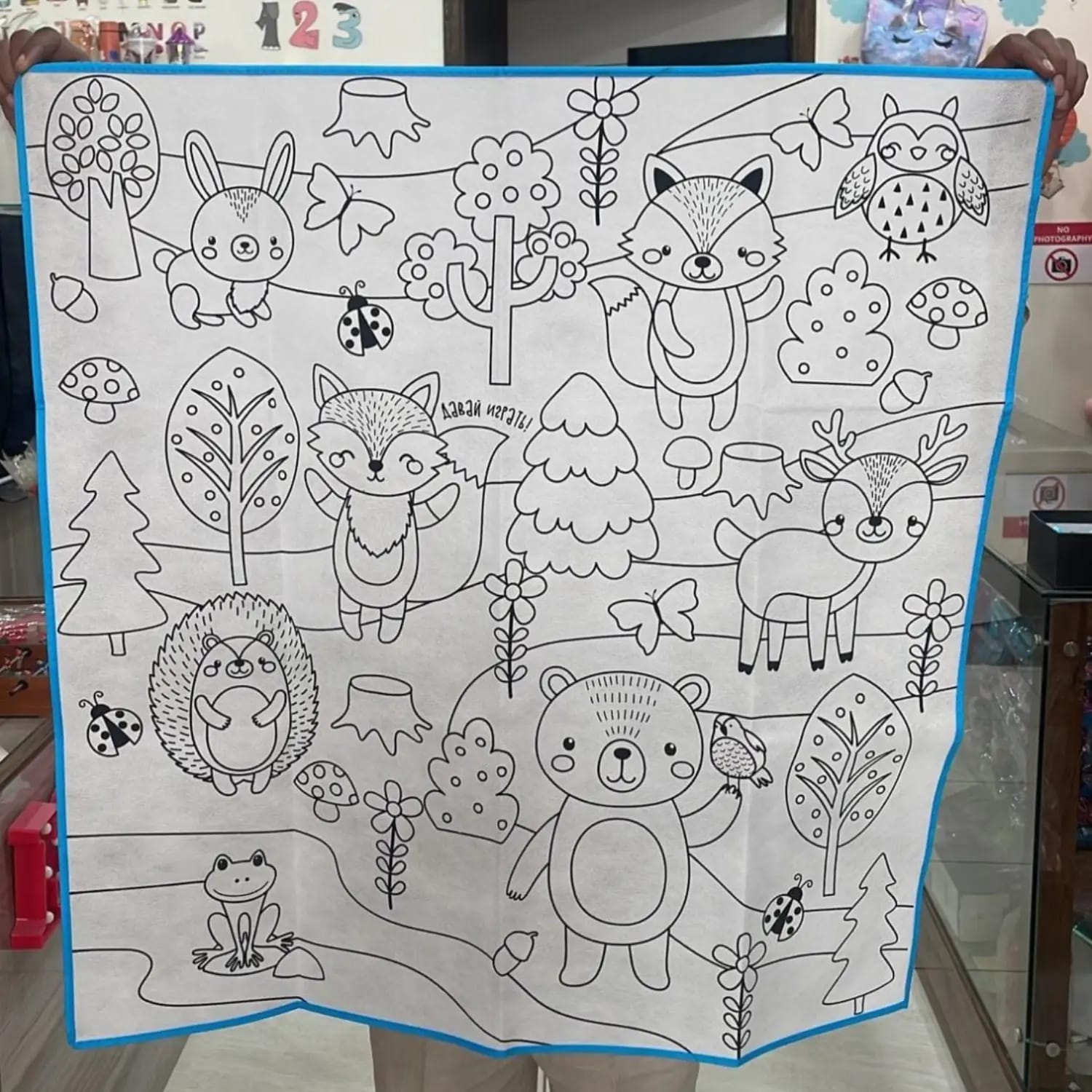 Washable coloring mat