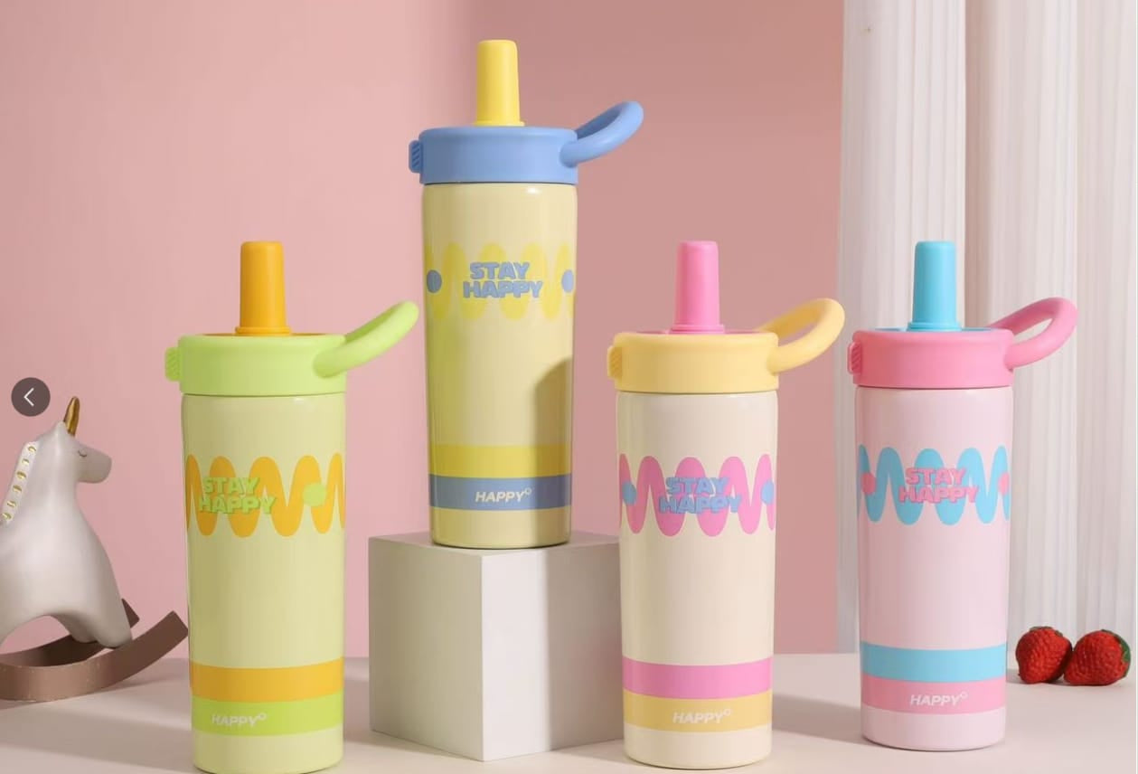 Insulated Stainless Steel Water Bottle